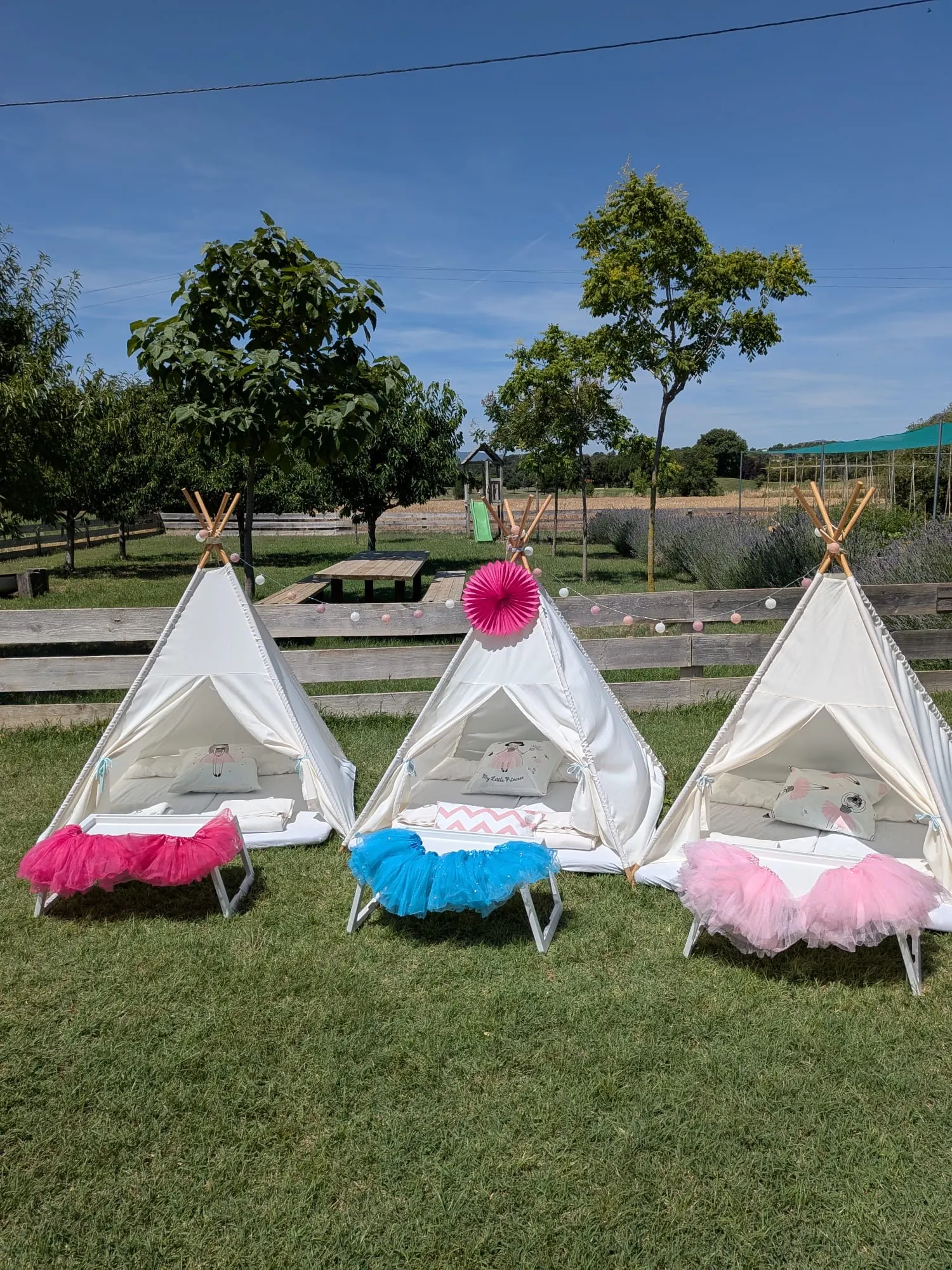 Tipi amb temàtica de ballarines – muntatge 1