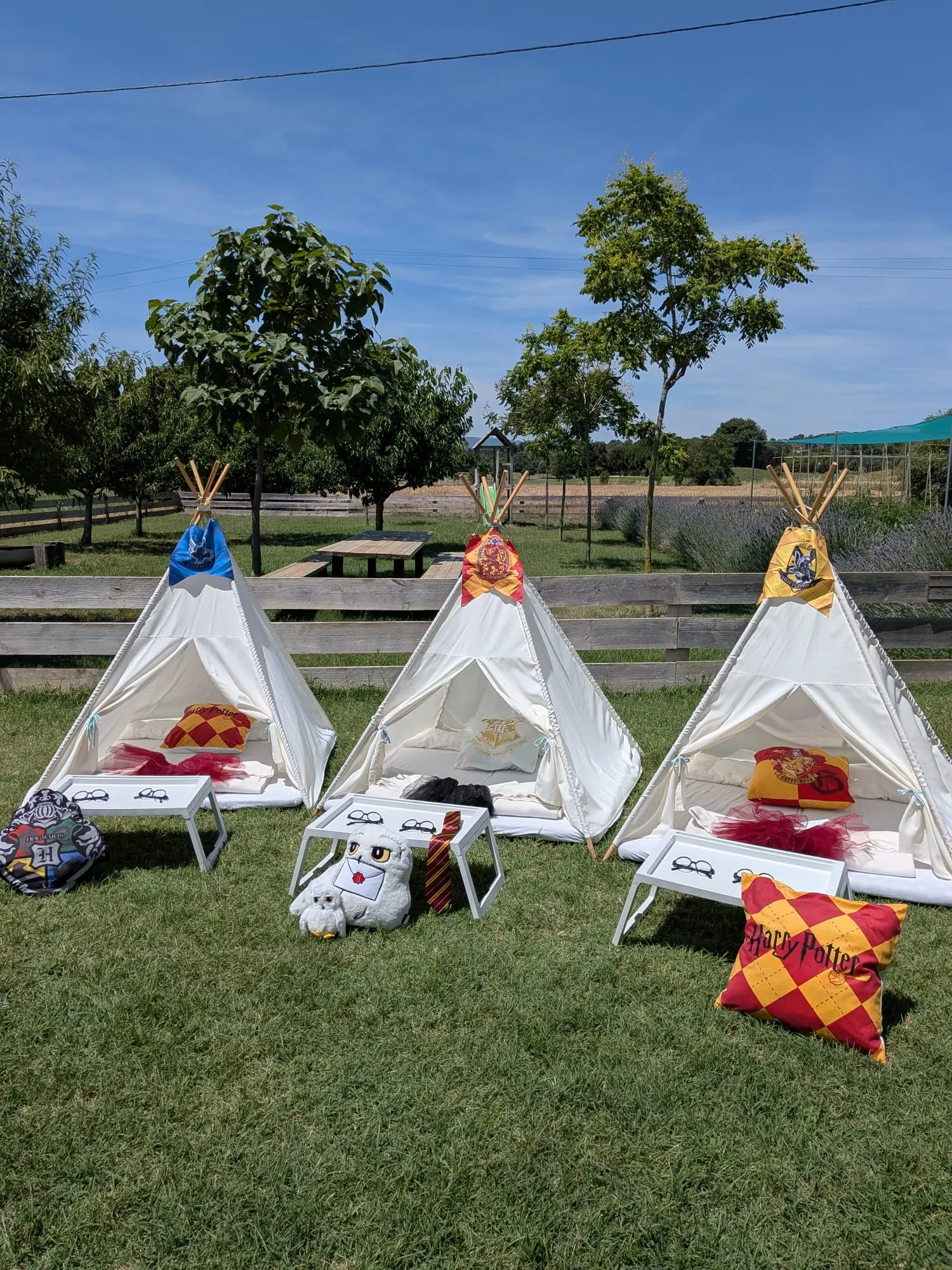 Tipi amb temàtica de Harry Potter – muntatge 1