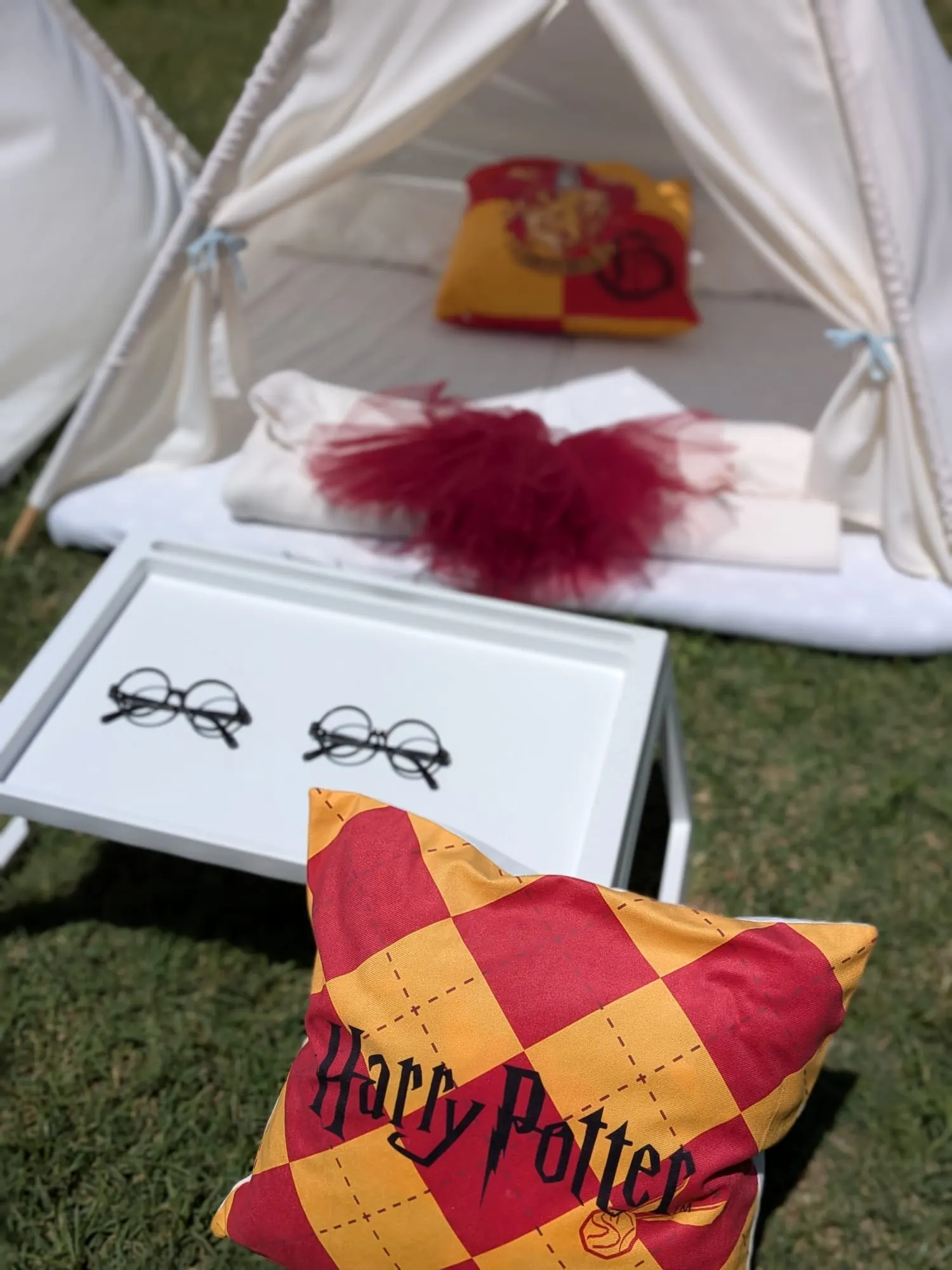 Tipi amb temàtica de Harry Potter – muntatge 2