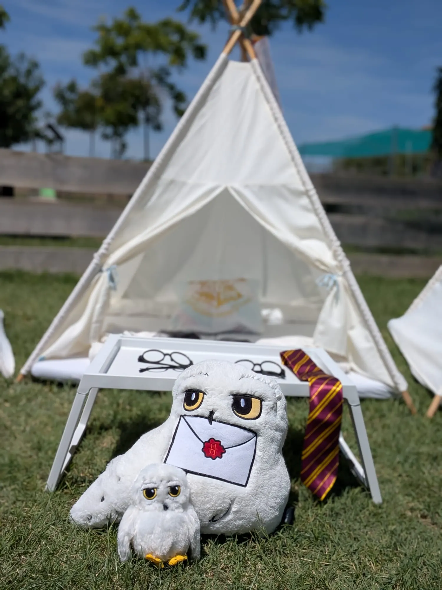 Tipi amb temàtica de Harry Potter – muntatge 4