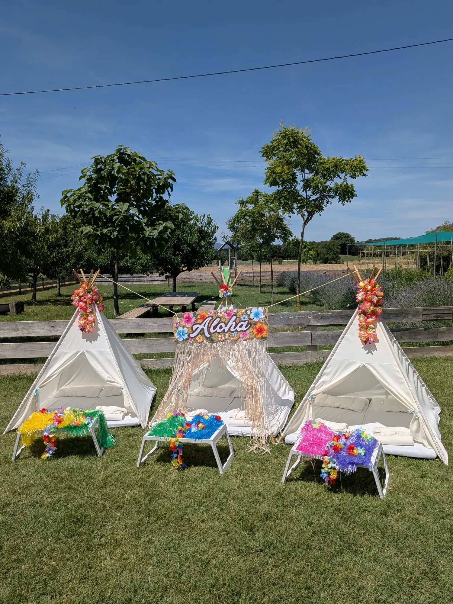 Tipi amb temàtica hawaiana – muntatge 1