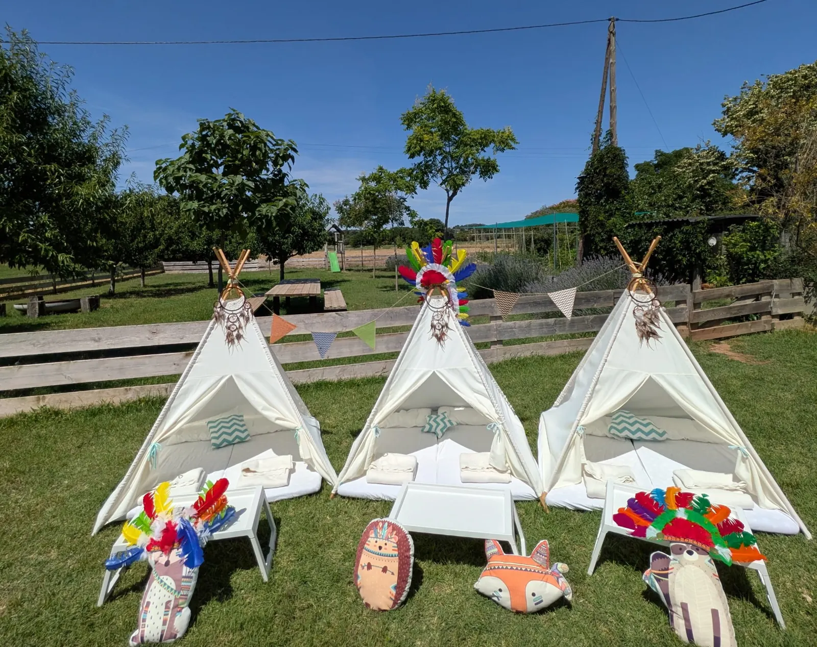 Tipi amb temàtica d'indis – muntatge 3