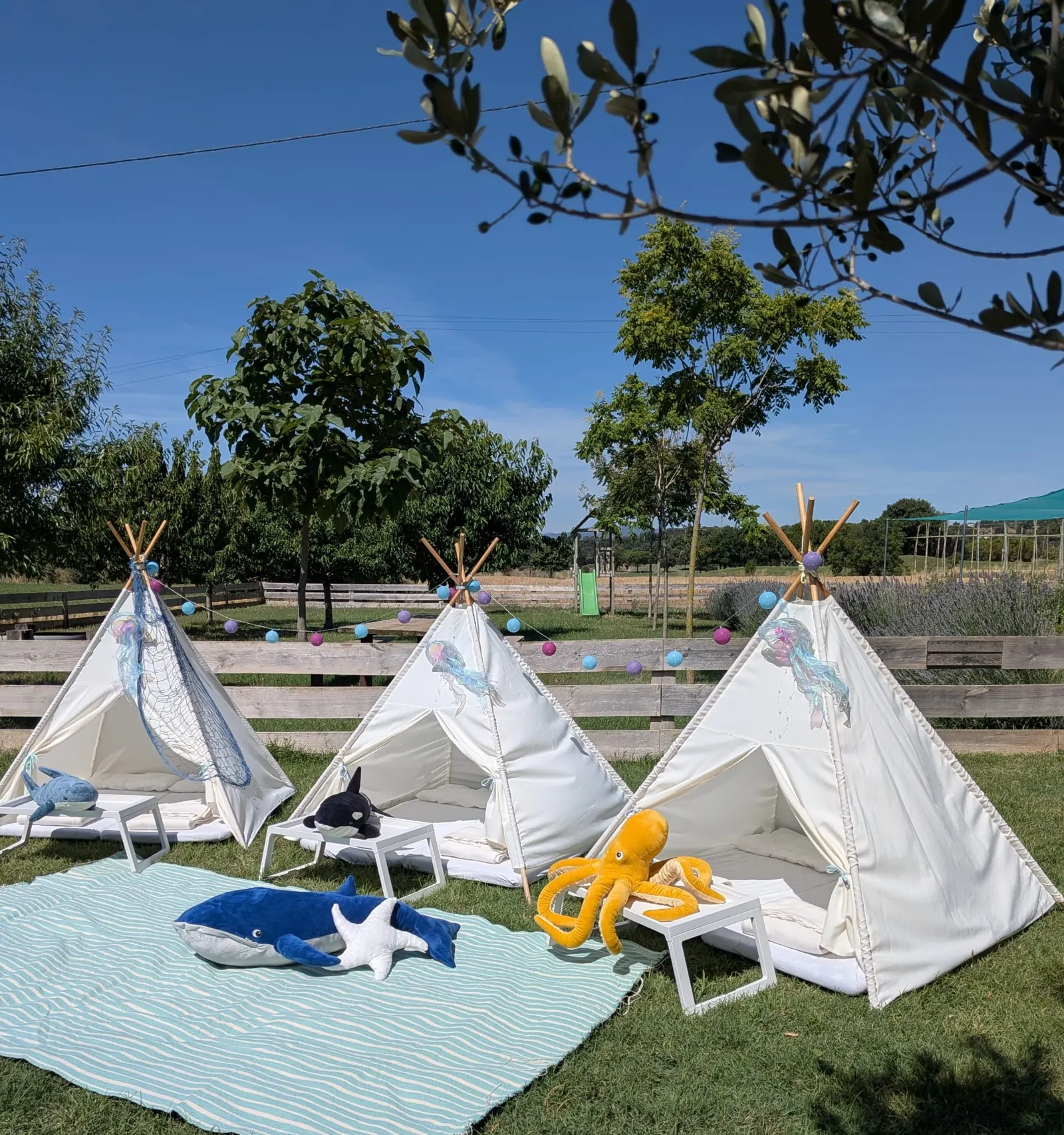 Tipi amb temàtica de fons marí – muntatge 2