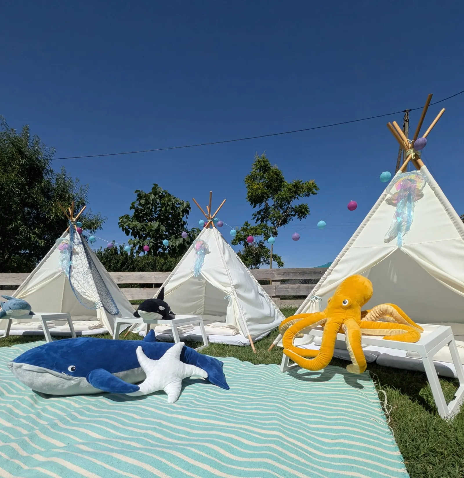 Tipi amb temàtica de fons marí – muntatge 3