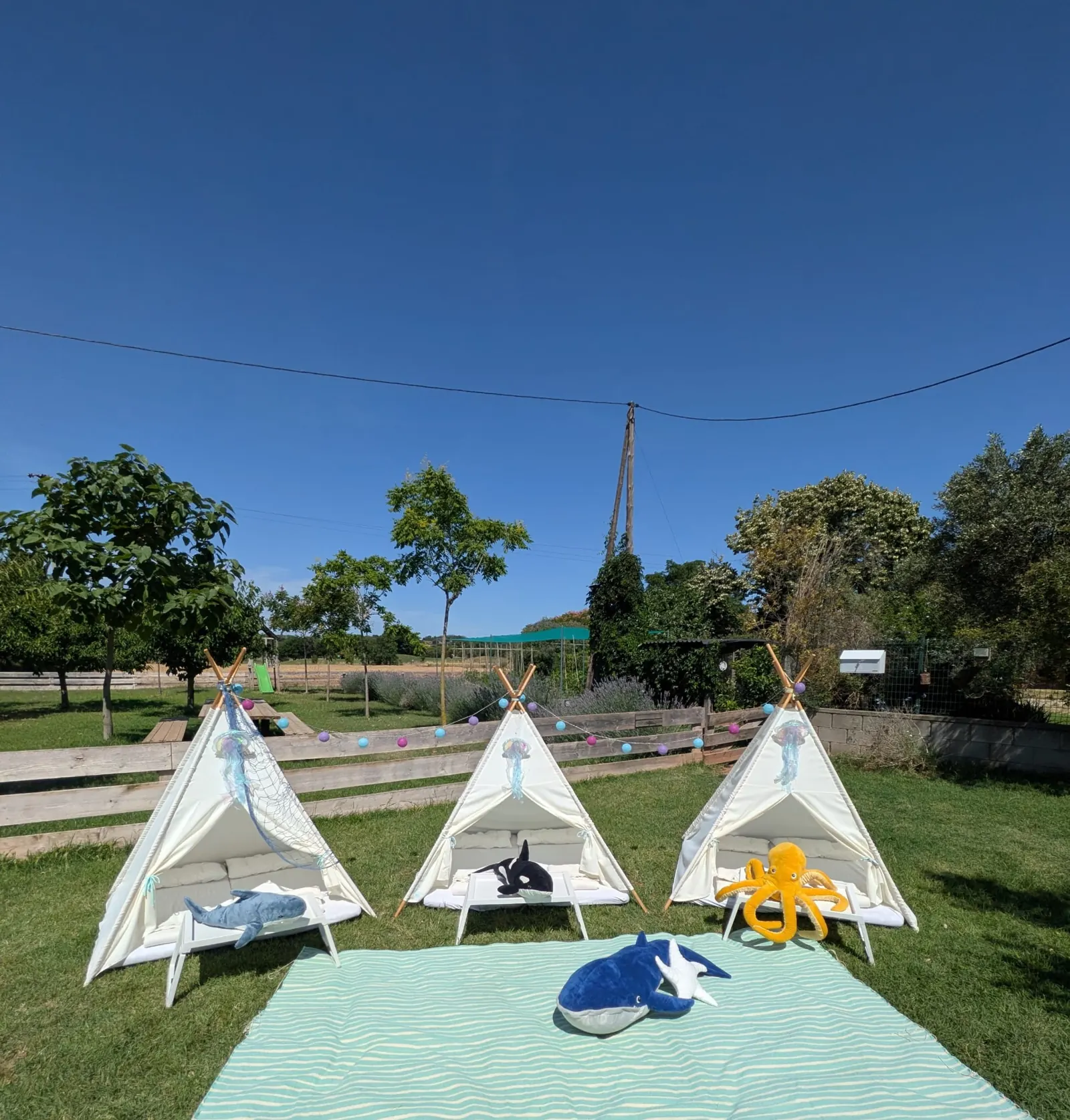 Tipi amb temàtica de fons marí – muntatge 4