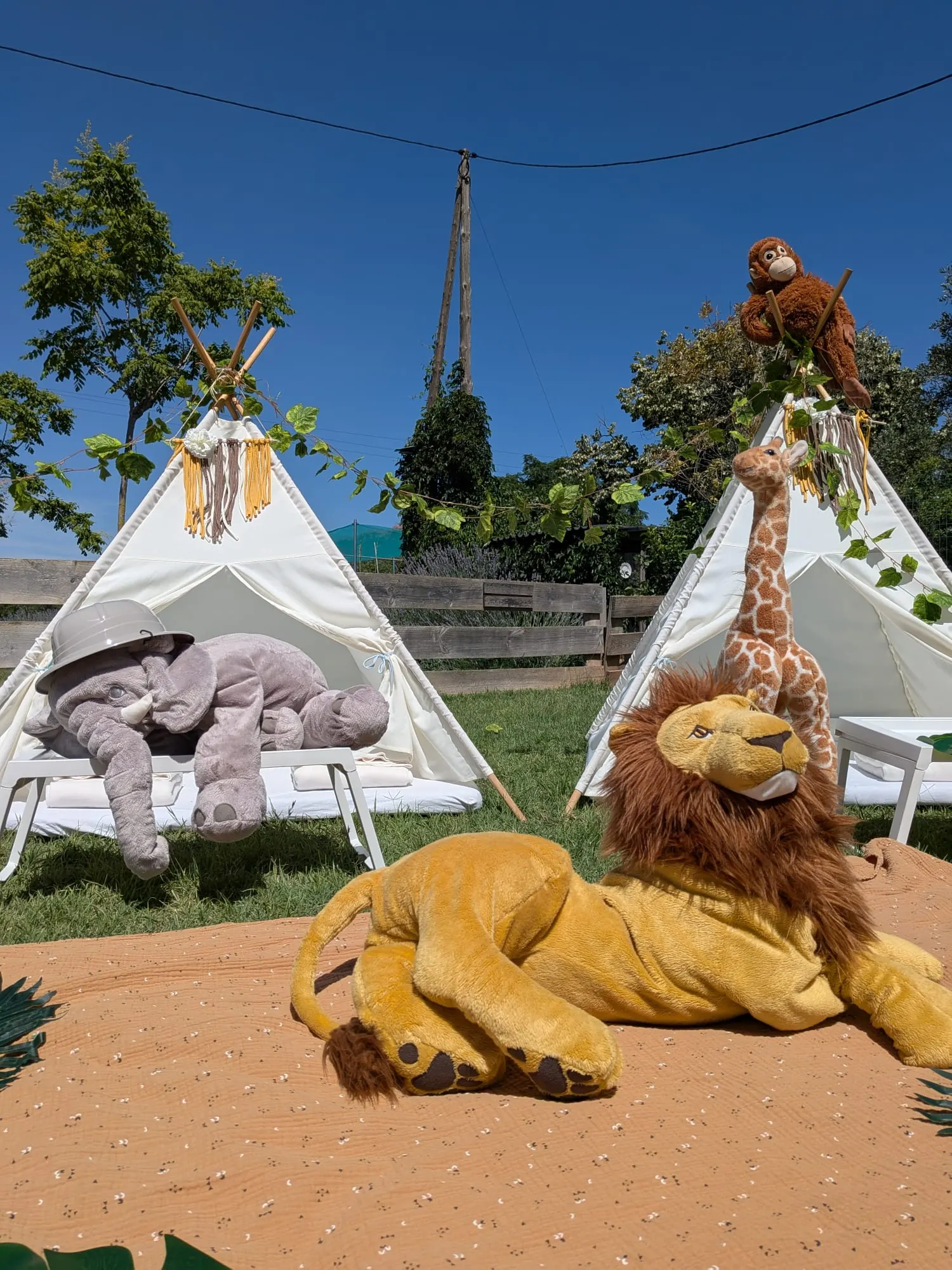 Tipi amb temàtica de safari – muntatge 11
