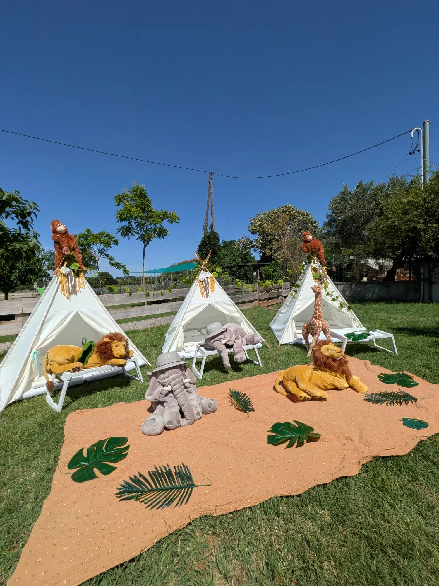 Tipi amb temàtica de safari – muntatge 12