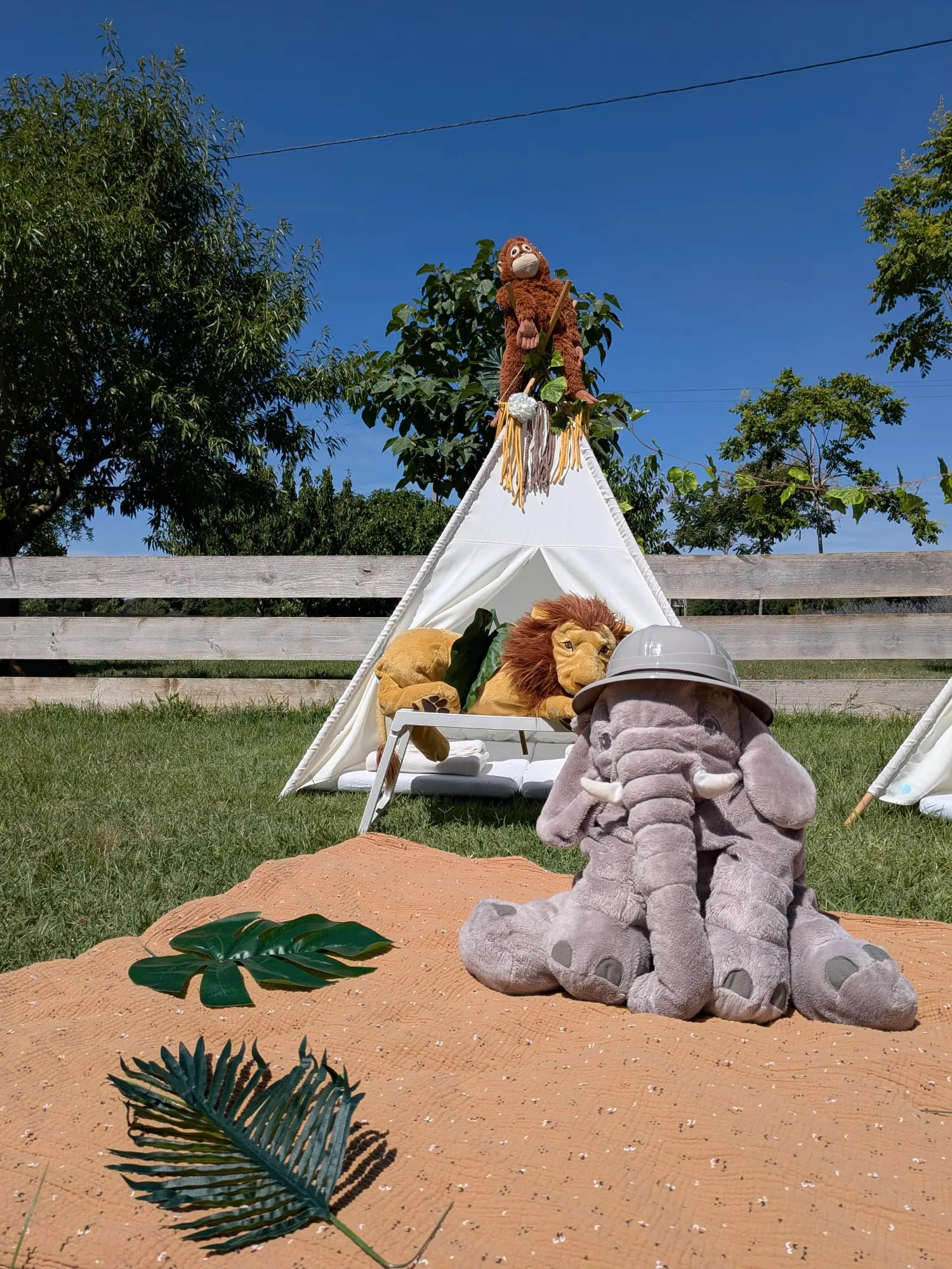 Tipi amb temàtica de safari – muntatge 13