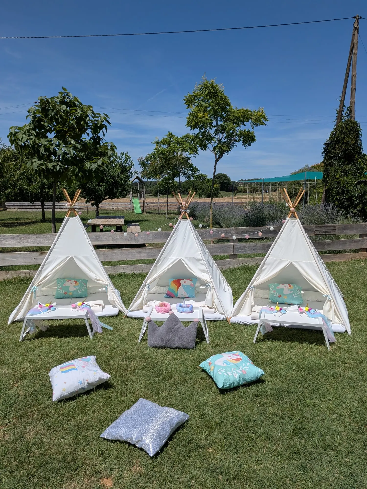 Tipi amb temàtica d'unicorns – muntatge 3